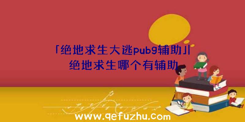 「绝地求生大逃pubg辅助」|绝地求生哪个有辅助